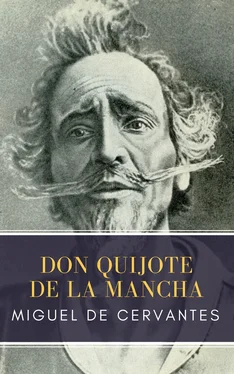 Array MyBooks Classics Don Quijote de la Mancha обложка книги