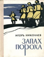 Игорь Николаев - Запах пороха