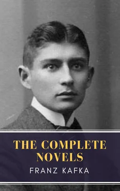 Array MyBooks Classics Franz Kafka: The Complete Novels обложка книги