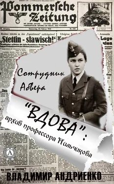 Владимир Андриенко «Вдова»: архив профессора Пильчикова обложка книги