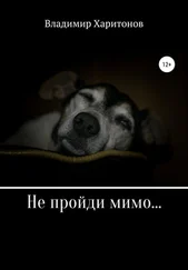 Владимир Харитонов - Не пройди мимо…