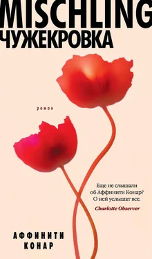 Аффинити Конар Mischling. Чужекровка обложка книги