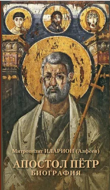 Иларион (Алфеев) Апостол Пётр. Биография обложка книги