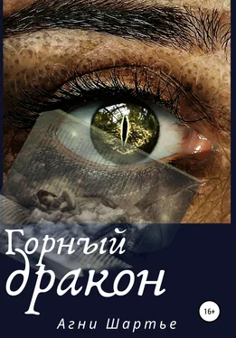 Агни Шартье Горный дракон обложка книги