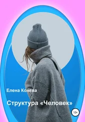 Елена Конева - Структура «Человек»