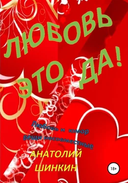 Анатолий Шинкин Любовь – это да! обложка книги