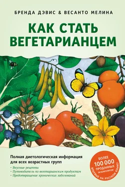 Бренда Дэвис Как стать вегетарианцем. Детальное руководство по переходу на здоровое вегетарианское питание обложка книги
