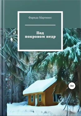 Фарида Мартинес Под покровом недр обложка книги