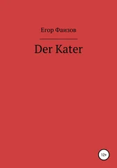 Егор Фаизов - Der Kater