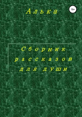 Алька Сборник рассказов для души обложка книги