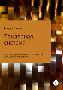 Павел Сапов Тендерная система: окно коррупционных возможностей или стопор экономики? обложка книги