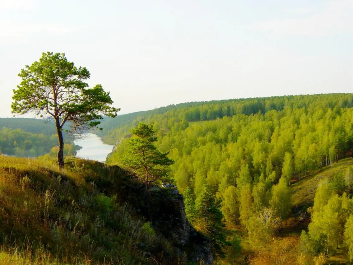 Фото автора О событиях описанных в данном рассказе мне поведал Виктор когда - фото 4