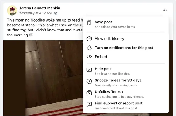 FIGURE 410The News Feed menu for a specific post Adjusting News Feed - фото 55