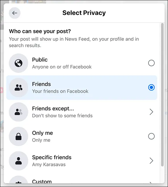 FIGURE 419The Select Privacy menu Friendsonly posts The second main - фото 71