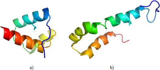 Figure 23 a DNA binding protein of Drosophila melanogaster PDB code 1enh - фото 11