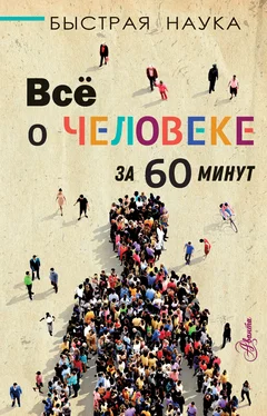 Марти Джопсон Всё о человеке за 60 минут обложка книги