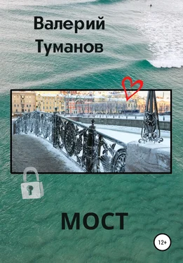 Валерий Туманов Мост обложка книги