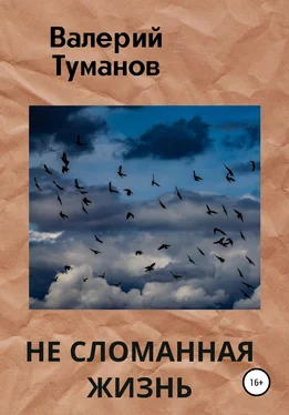 Валерий Туманов Не сломанная жизнь обложка книги