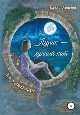Елена Аушева Лурик – лунный кот обложка книги