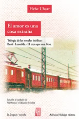 Hebe Uhart - El amor es una cosa extraña