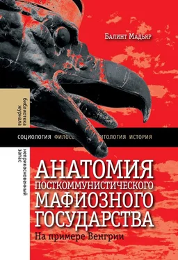 Мадьяр Балинт Анатомия посткоммунистического мафиозного государства. На примере Венгрии обложка книги