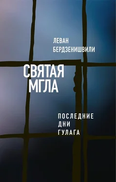 Леван Бердзенишвили Святая мгла (Последние дни ГУЛАГа) обложка книги