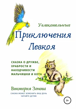 Виктория Зонова Увлекательные приключения Левкоя обложка книги