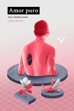 Luisgé Martín Amor puro обложка книги