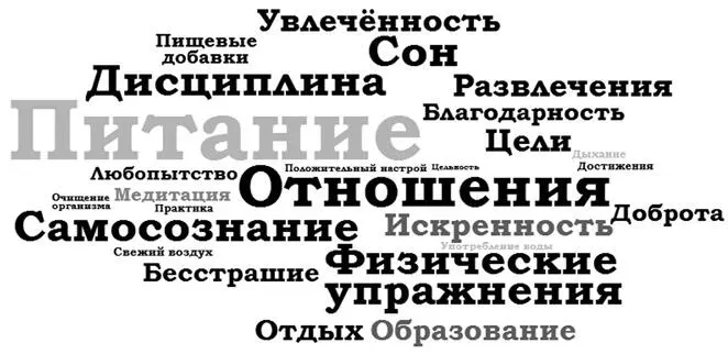 Примерно так я и работаю последние пять лет Мне нравится разговаривать с - фото 1