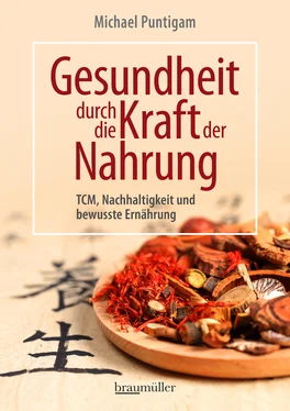 Michael Puntigam Gesundheit durch die Kraft der Nahrung обложка книги