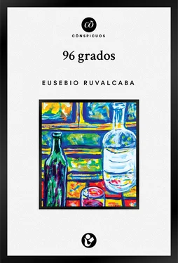 Eusebio Ruvalcaba 96 grados обложка книги
