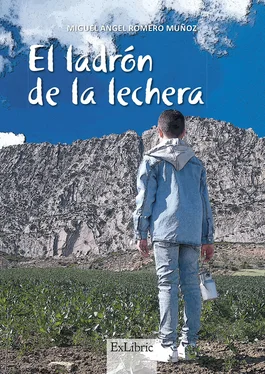Miguel Ángel Romero Muñoz El ladrón de la lechera обложка книги