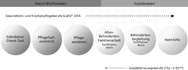Abb 1 Berufsgruppenmix in der geriatrischen Langzeitpflege modifiziert nach - фото 4