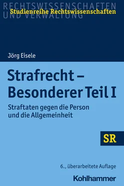 Jörg Eisele Strafrecht - Besonderer Teil I обложка книги