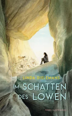 Linda Dielemans Im Schatten des Löwen обложка книги