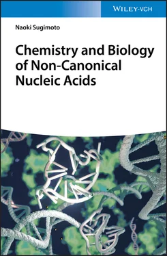 Naoki Sugimoto Chemistry and Biology of Non-canonical Nucleic Acids обложка книги