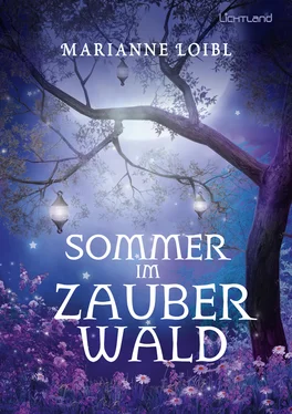 Marianne Loibl Sommer im Zauberwald обложка книги