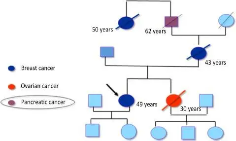 Figure 11 Familial pancreatic cancer in a syndromic context identification - фото 3