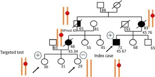Figure 14 Identifying atrisk individuals in the family by testing family - фото 6