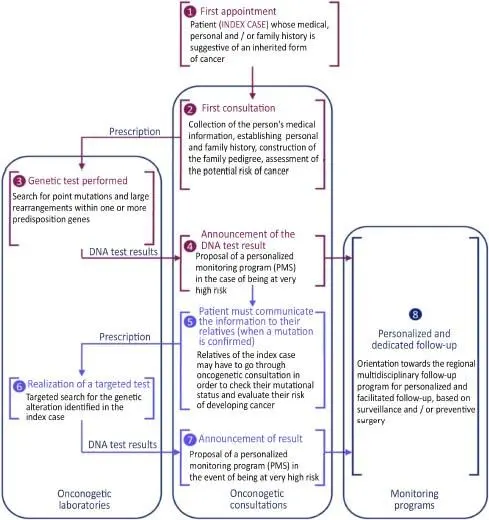 Figure I1 Global path of the index patient and their family members in the - фото 2