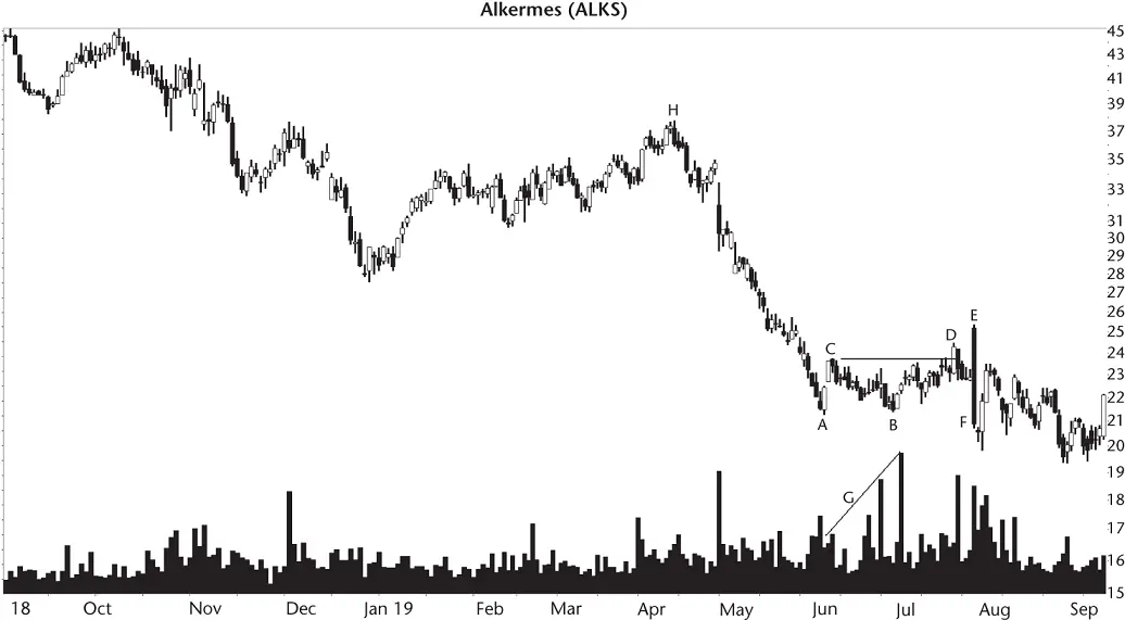 Figure 73 Price busts the upward breakout from this big W Volume G in this - фото 41