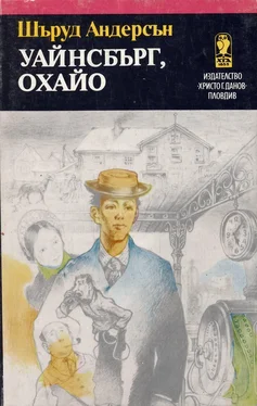 Шъруд Андерсън Уайнсбърг, Охайо обложка книги