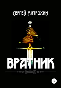 Сергей Митрохин Вратник обложка книги