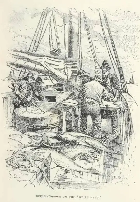 There was a general sorting out among the Fleet next day and though no one - фото 16