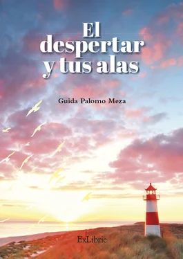 Guida Palomo Meza El despertar y tus alas обложка книги