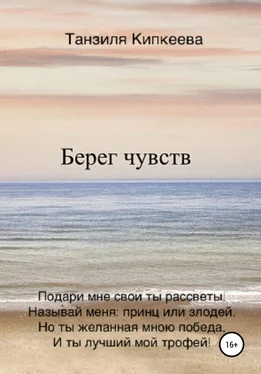 Танзиля Кипкеева Берег чувств обложка книги