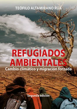 Teófilo Altamirano Refugiados ambientales обложка книги