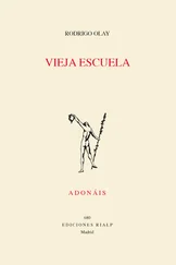 Rodrigo Olay Valdes - Vieja escuela