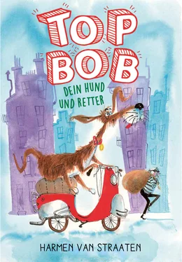 Harmen van Straaten Top Bob - dein Hund und Retter обложка книги