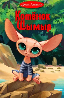 Джан Амании Котёнок Шымыр обложка книги